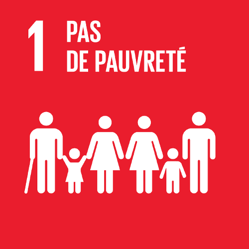 Objectif 1 — Éradication de la pauvreté