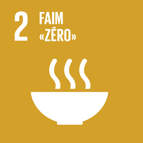 Objectif 2 — Lutte contre la faim