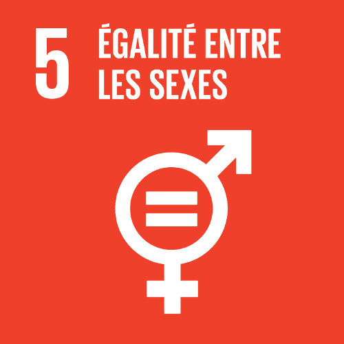 Objectif 5 — Égalité entre les sexes