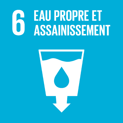 Objectif 6 — Accès à l'eau salubre et à l'assainissement