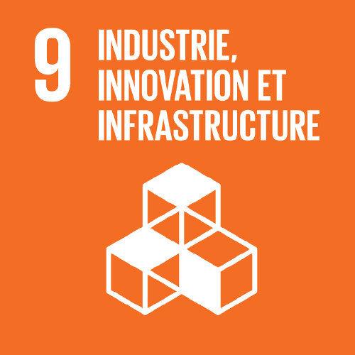 Objectif 9 — Innovation et infrastructures