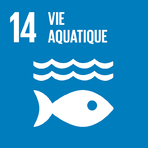 Objectif 14 — Protection de la faune et de la flore aquatiques