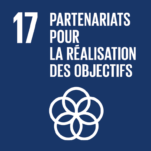Objectif 17 — Partenariats pour les objectifs mondiaux