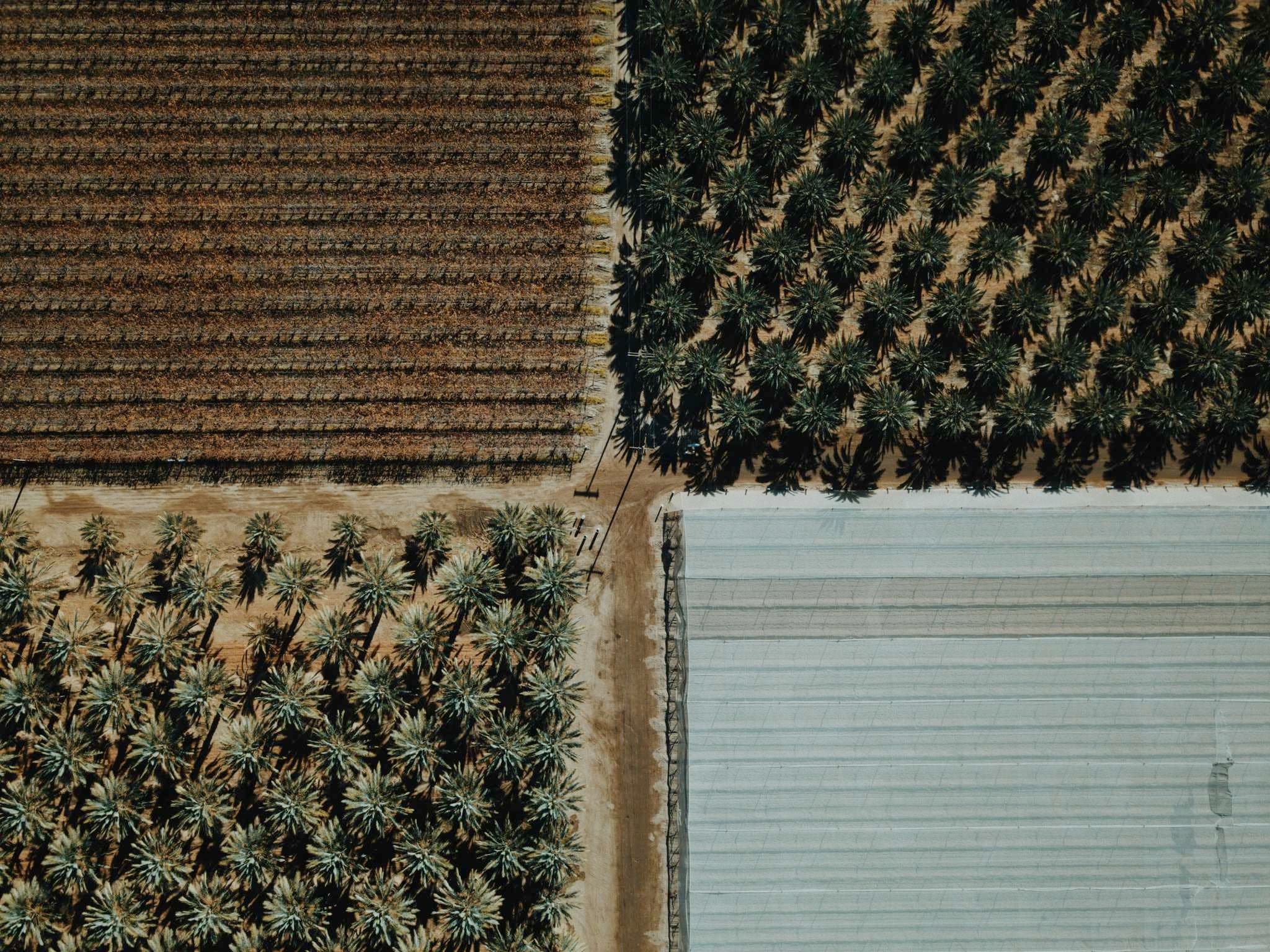 Vue aérienne de la ferme d'Okpara — relevé LiDAR par drone OHM WORKS