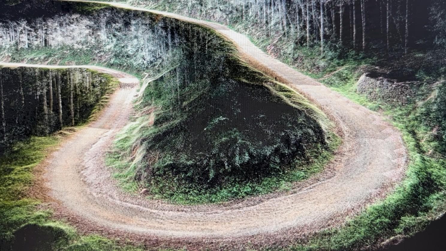 MNT haute précision d'une route sous couvert végétal — détection LiDAR