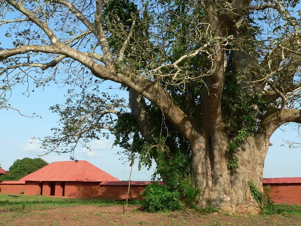 Nuage de points LiDAR des Palais Royaux d'Abomey — restitution OHM WORKS pour l'ANPT